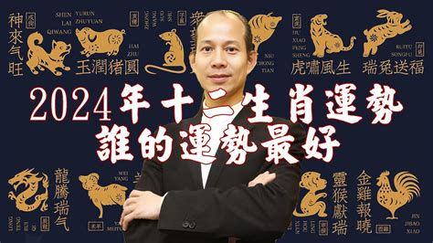 甲辰 龍年|2024龍年生肖運勢解析！屬兔先學會放下、屬羊需要。